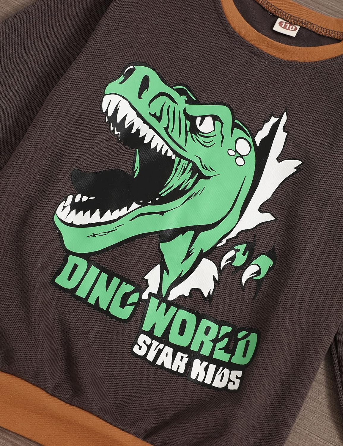 Little Boy Outfit Dinosaur Printed Long Sleeve Sweatshirt Top and Pants Toddler Boys Fall Winter Clothes Set